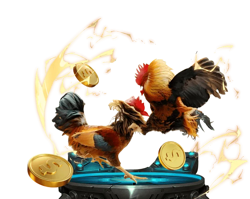 RNG được kiểm định